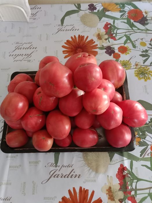 Продам домашние помидоры.