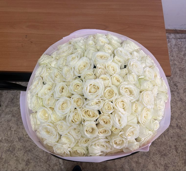 Продам 101 розы белые