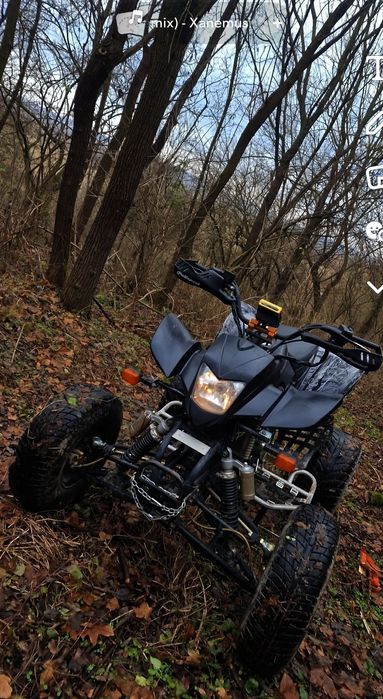 Vand atv bashan 250