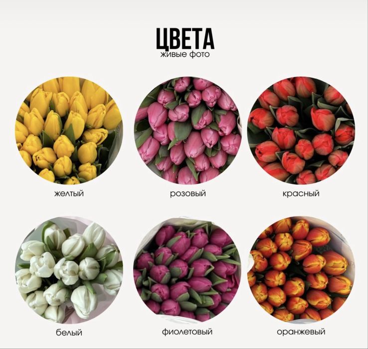 Тюльпан. Букеты. Тюльпаны