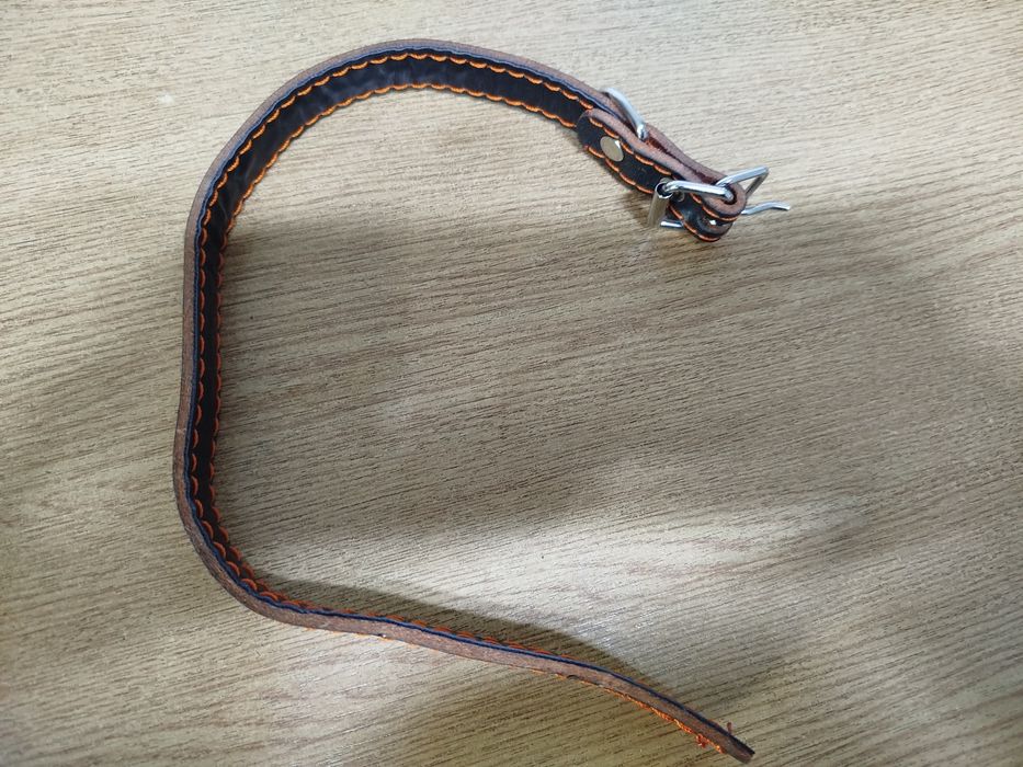 Ошейник для собак