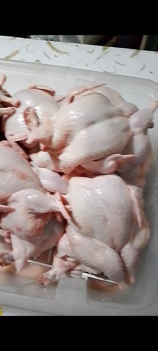 Мясо домашней перепёлки