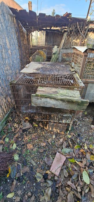 Cusca iepuri coteț iepuri din boxpalet