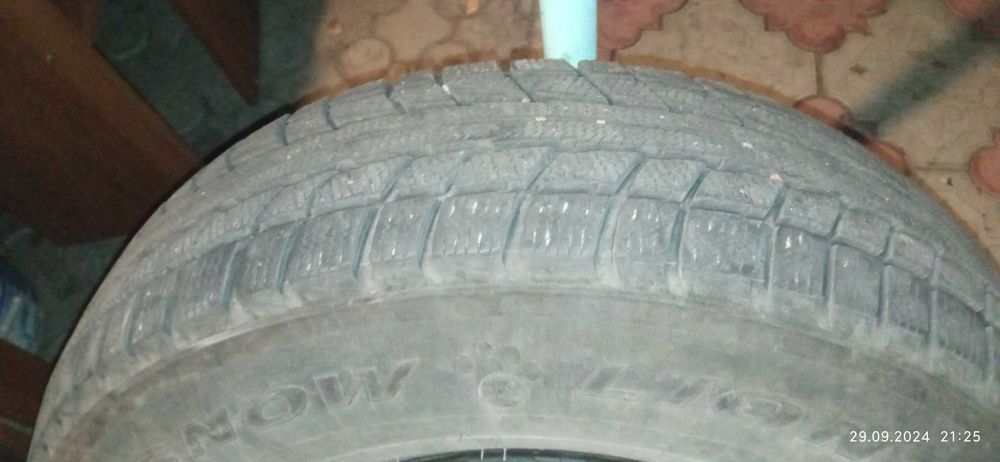 Резина Triangle Snow Lion