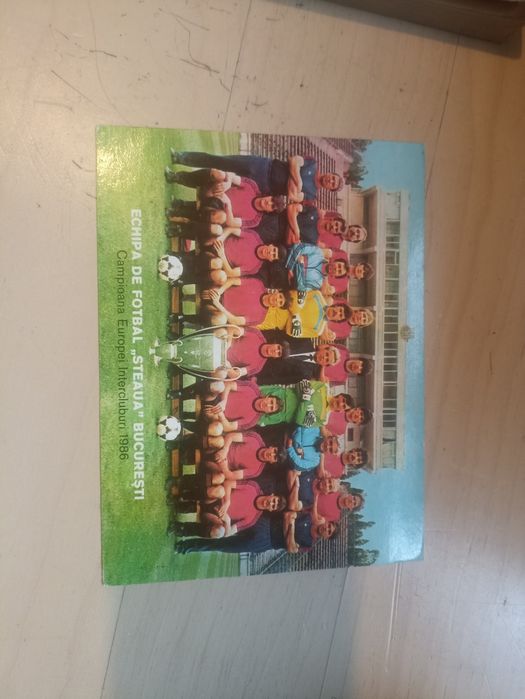 Steaua campionat