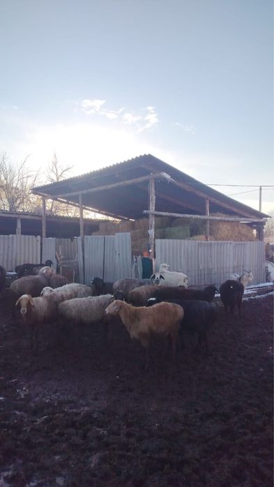 Үй сатылады/Срочно продаеться