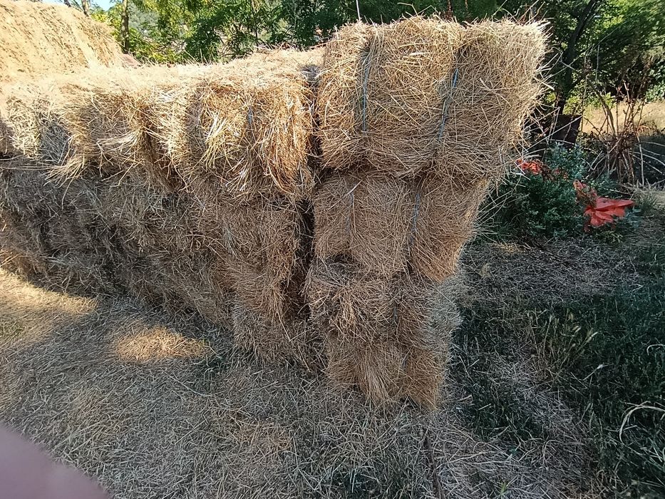 Продавам малки бали сено