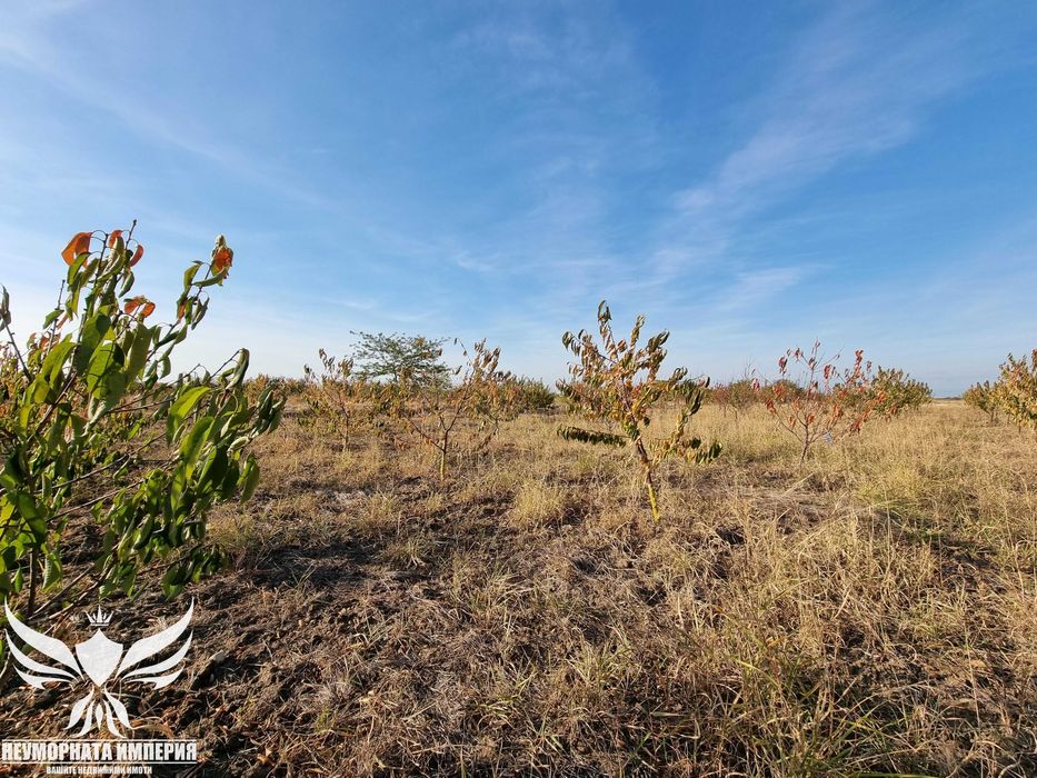 Продава се Земеделски имот в Асеновград -  кв.м за 3009 €/дка - Снимка #10