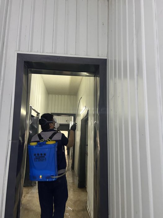 Dezinfeksiya дезинфекция 24/7 dizinfeksiya клапа таракан klapa tarakan