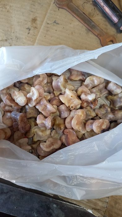 Асыки сыромятки асыки