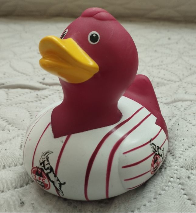 Гумено пате Кьолн