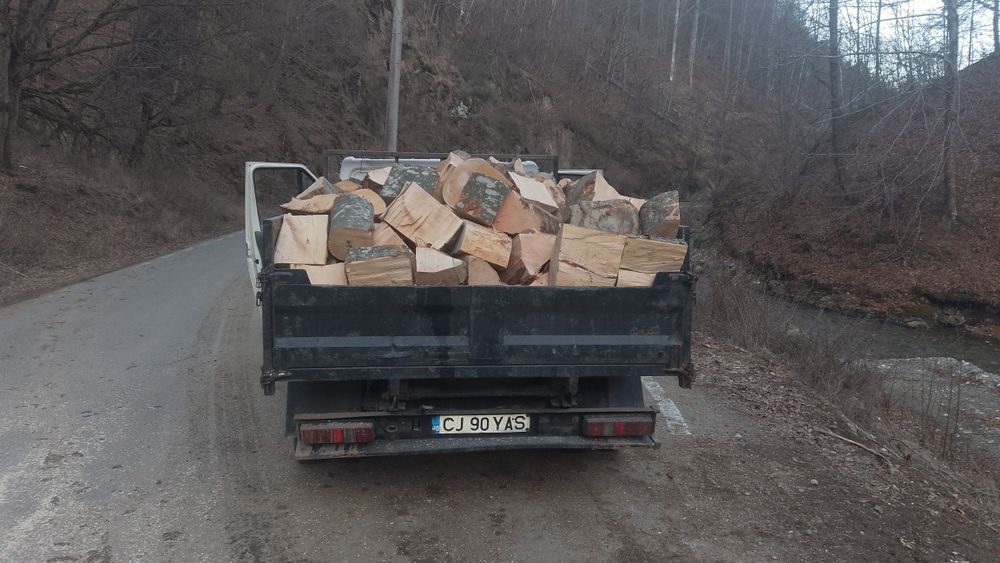 Lemn de foc esență tare