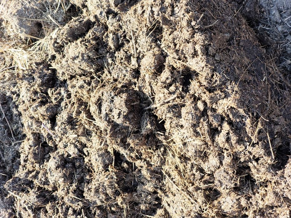 Отдаю конский назоз чистый