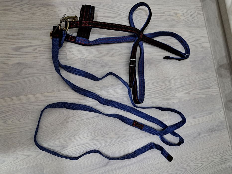 Жуген нокта сатылады