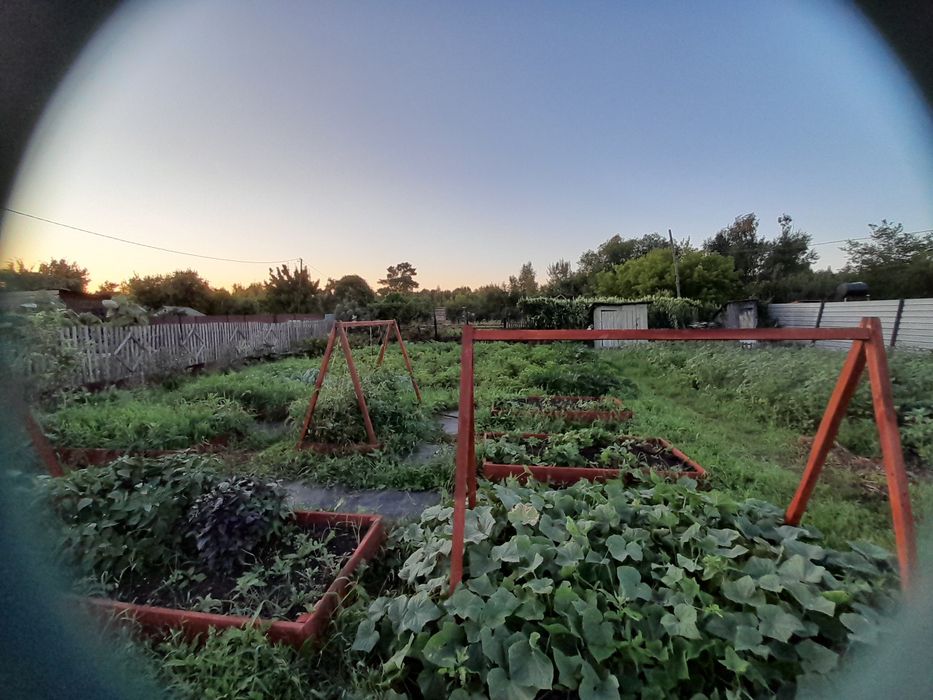 Продам дачу в СО Борки