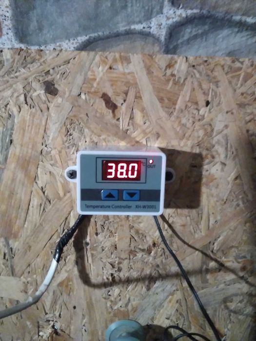 Нов Инкубатор 40 яйца пилета