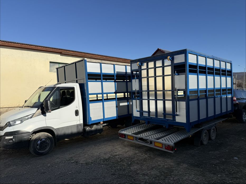 Iveco Daily cub transport animale vii