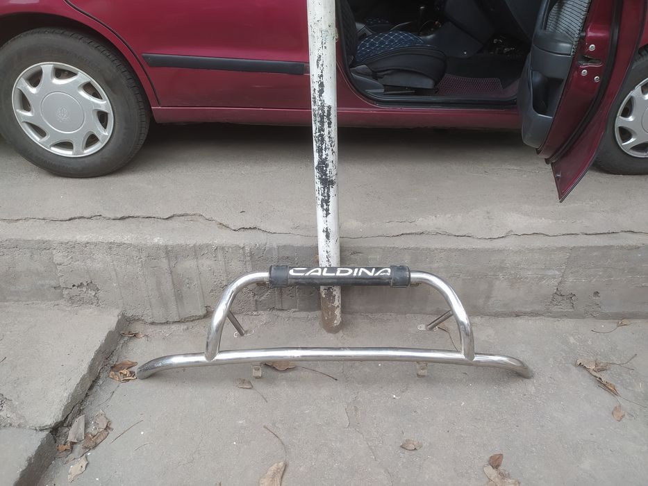 Кeнгурятник (Caldina)