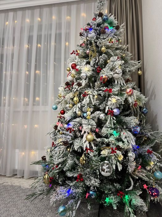 Аренда Елки разные