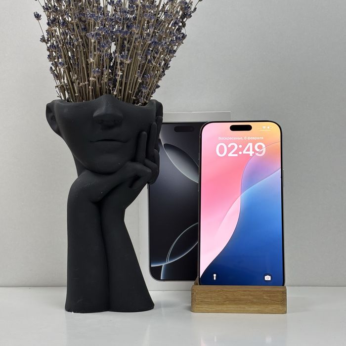 iPhone 16 Pro Max, 256гб