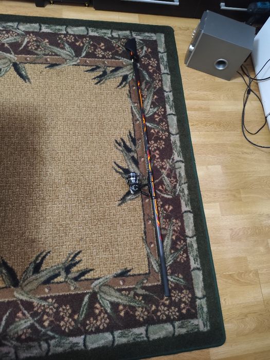 Lanseta bologneza +mulineta