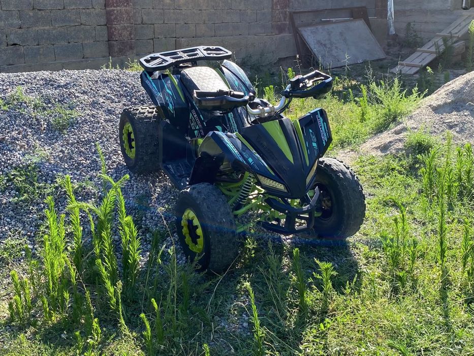 Квадроцикл tao motor berkut