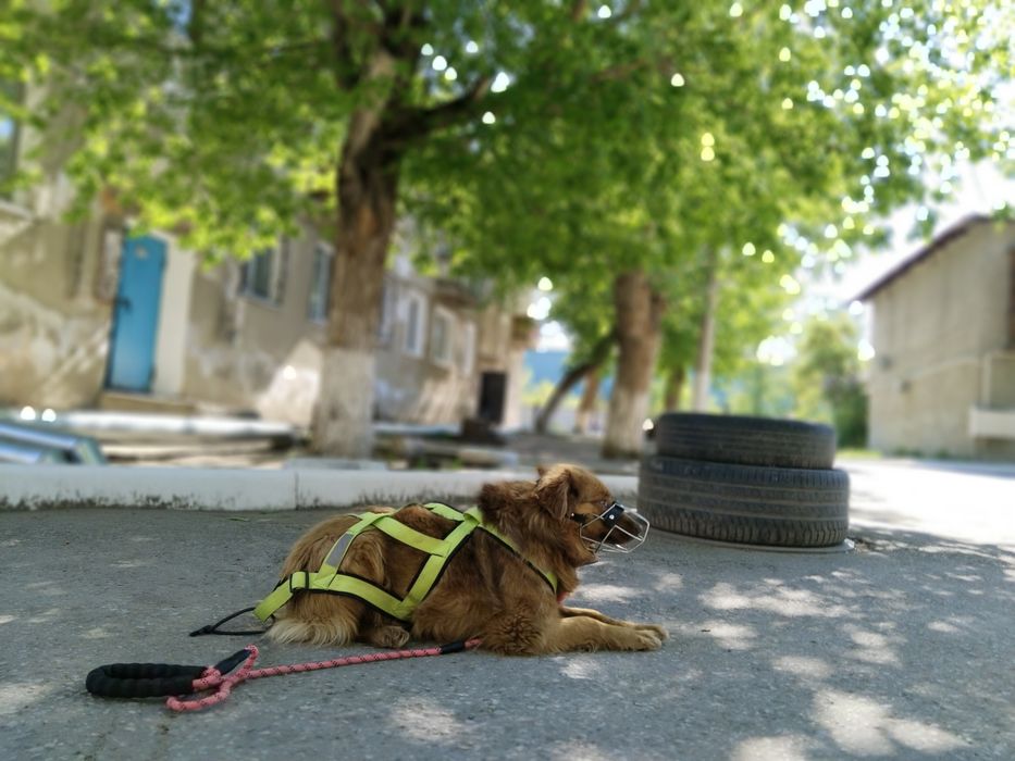 Айфон с гарантий