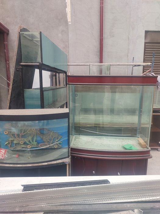 Akvarum sotlad hammas bla