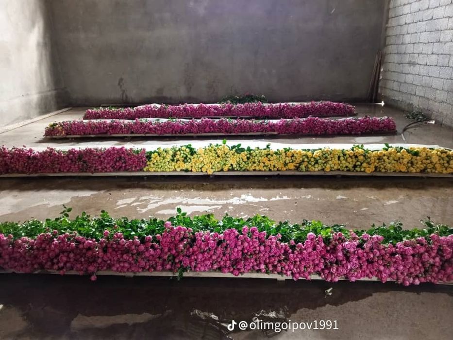 Дехкончилик гарантия качества