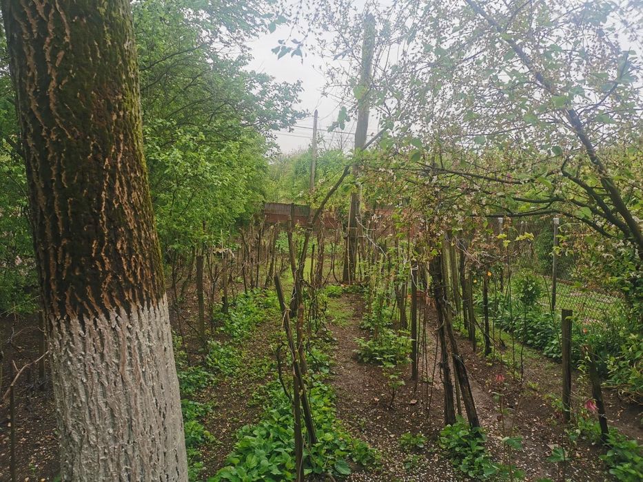 Casa de vanzare in sat Merisani Com Babaita /Teleorman