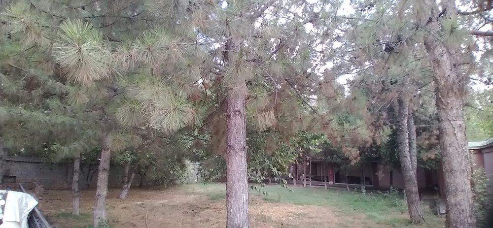 Продам дом набережная реки Чирчик 12соток 4комнаты