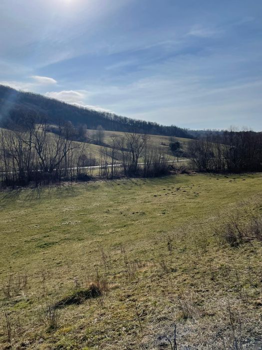 Vând teren 4200 mp ideal pt casa de vacanta  în Varciorog