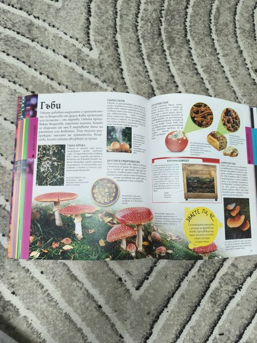 Енциклопедия Наука на издателство "Книгомания"