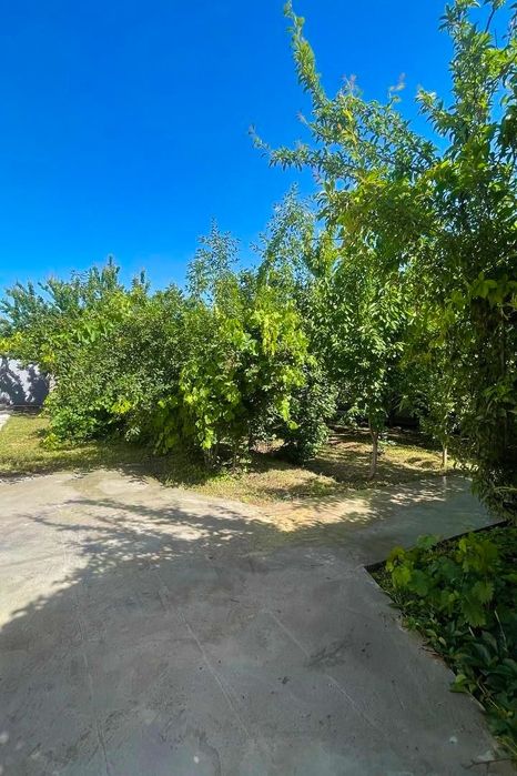 Dacha toytepa 6 sotix srochna