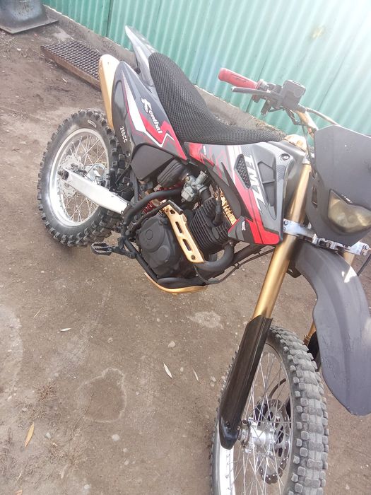 Индура индура продаётся