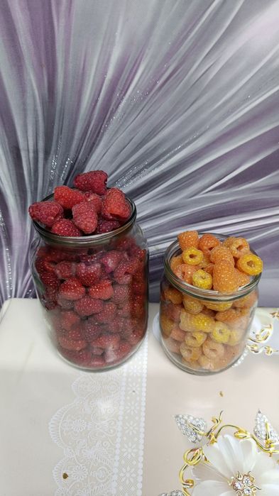 Малина дачная кдби