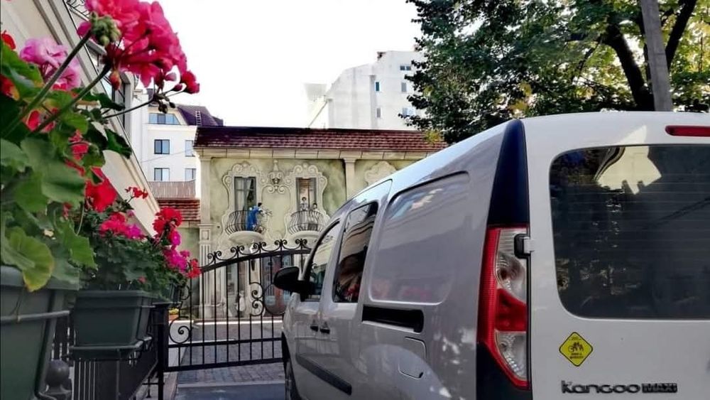 Transport câini și pisici. Transport persoane cu animalul de companie