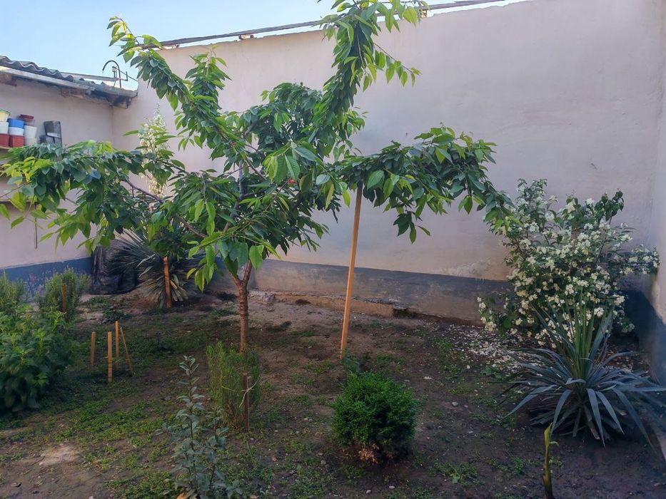 Срочно свой дом!