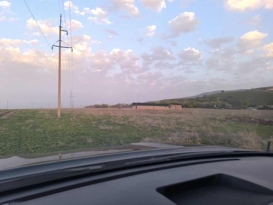 Сдам в аренду участок для посева