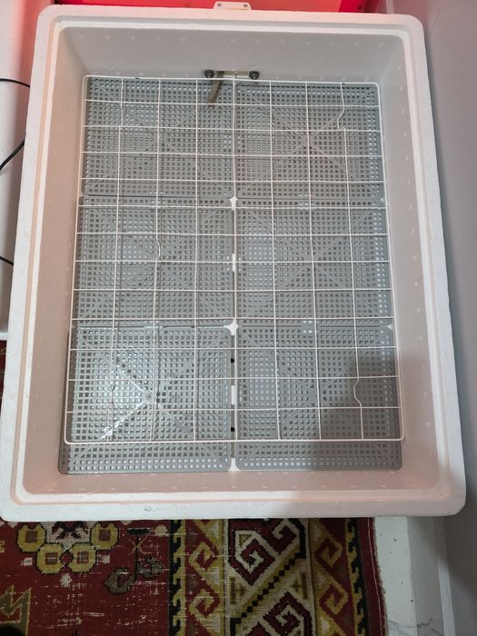 Несушка инкубатор 104