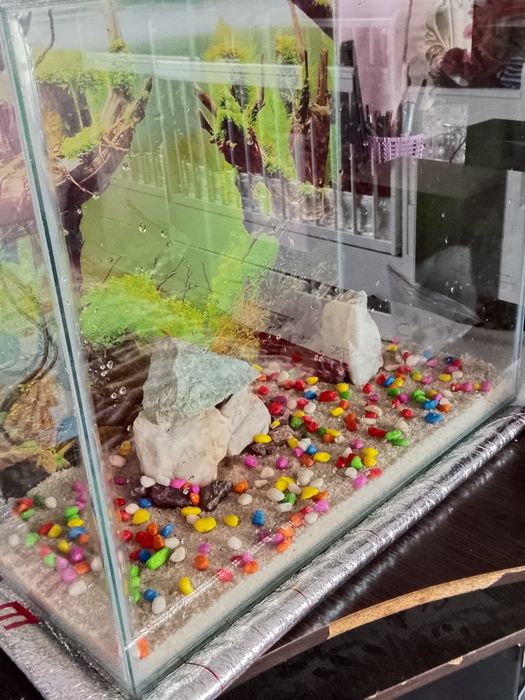 Аквариум с рыбками