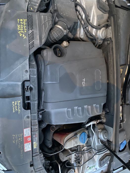 Audi A4 / Piele / Nav Color