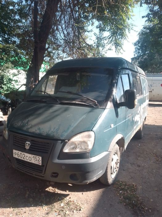 Газель целном талически