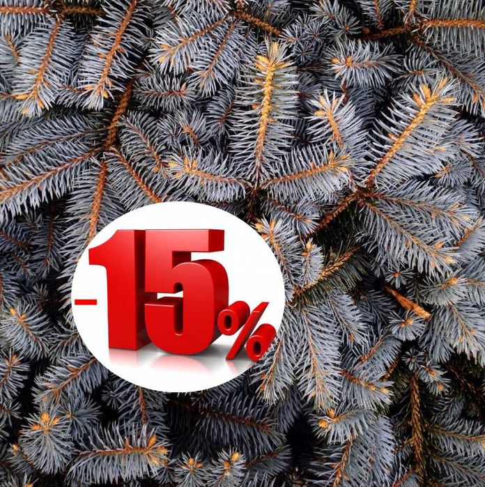 brazi argintii si normandian pentru craciun diferite dimensiuni