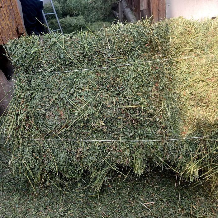 Продаж люцерна; сено(разнотравья) салома