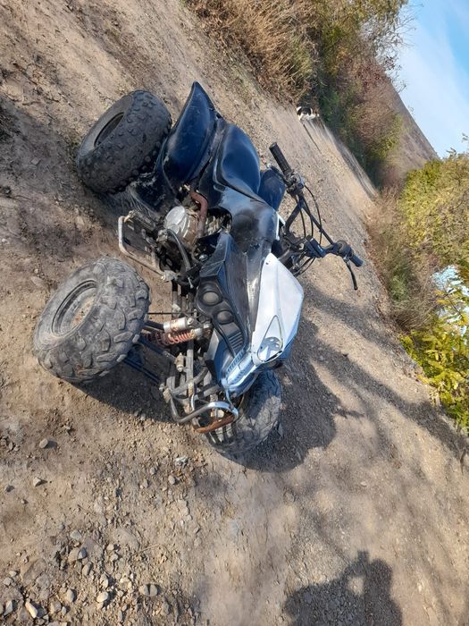 Vand/schimb atv Bashan