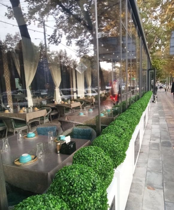 Salafan  ustanofka xizmat