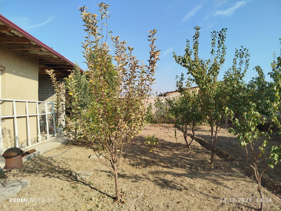 Назарбек текстилда 6 соток участка