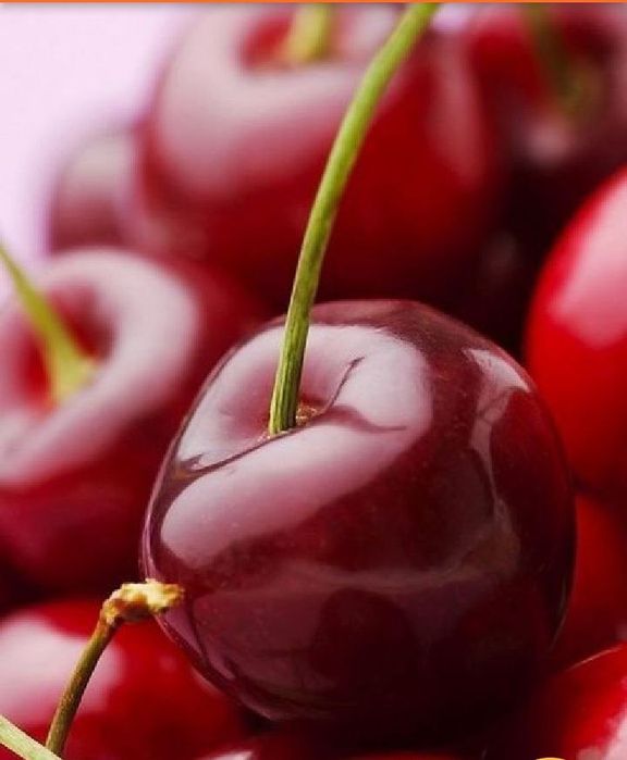 Mevali gilos koʻchatlari