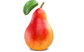 Самые лучшие растения цветы фруктовые деревья декоративные кустарники